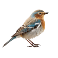 AI generated Bird against transparent background - Ai generated png