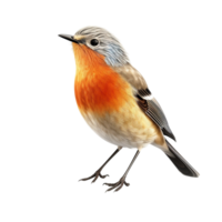 AI generated Bird against transparent background - Ai generated png