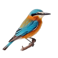 AI generated Bird against transparent background - Ai generated png