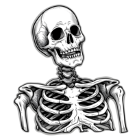 AI generated Human skeleton sticker style transparent background - Ai Generated png
