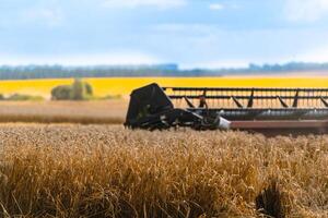 combine harvester working on a wheat field photo