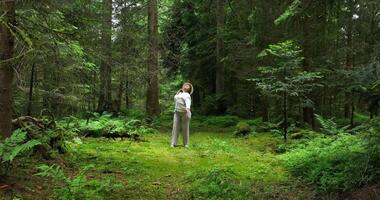 femelle la personne relaxant en plein air dans paisible vert paysage dans harmonie video