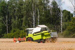 combine harvester working on a wheat field photo