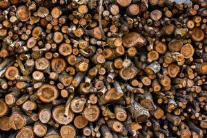 Folded wooden logs. Chop the wood for the winter. Cross section of the tree. Wooden background photo