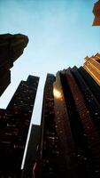 vertikal video av modern stad arkitektur