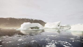 A wide low angle view of melting sea ice floes in still waters of Arctic video