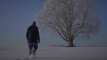 een Mens wandelen buitenshuis in winter sneeuw landschap landschap video