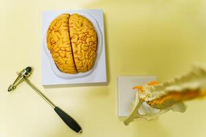 humano cerebro modelo para educación en laboratorio. neurocirugía concepto. foto