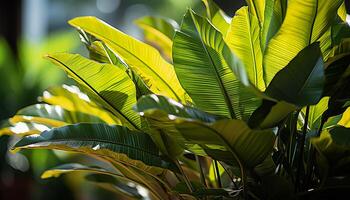 ai generado vibrante verde palma fronda, naturaleza a rayas belleza en verano generado por ai foto