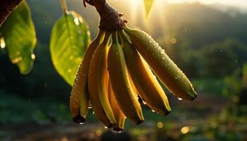 AI generated Fresh green leaf with yellow drop, nature vibrant beauty generated by AI photo