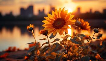 ai generado girasol en prado, vibrante pétalos resplandor en puesta de sol belleza generado por ai foto