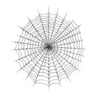 Spider web isolated on white background. Vector illustration