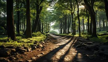 ai generado el tranquilo bosque prado revela naturaleza misterioso belleza generado por ai foto