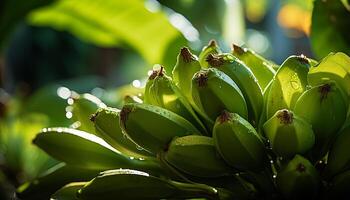 ai generado Fresco verde hojas en un plátano árbol en el verano generado por ai foto