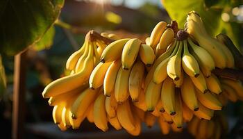 ai generado fresco, maduro banana, un sano bocadillo en vibrante naturaleza generado por ai foto