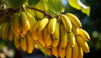 AI generated Fresh, ripe bananas on a vibrant green tropical tree generated by AI photo