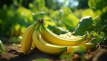 ai generado fresco, maduro plátano en verde hoja, un sano verano bocadillo generado por ai foto