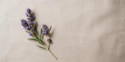 AI Generated Natural Fabric Background With Purple Floral Sprig. Lavender Blossoms on a Linen Tablecloth. Generative AI photo
