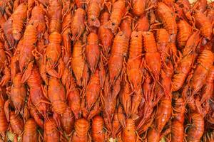 Cancers. Boiled red crawfish. Crawfish ready to eat. Beer snack. Crayfish to beer. photo