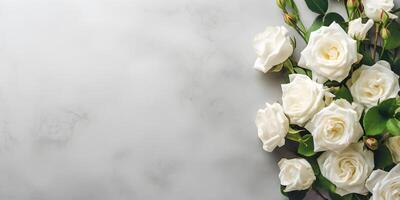 AI generated White garden roses on light concrete background, summer flowers flat lay banner. Valentine's, womens, mothers day, birthday or wedding concept. Top view. Copy space. Generated AI. photo