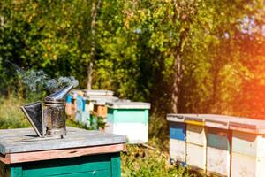 Smoker standing on a bee hive. Wooden box of bee apiary. Organic honey. photo