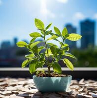 AI generated Green plant in planter in front of business building. Young plant growing in pot on the balcony with city background photo