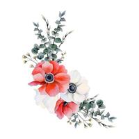 Red and white anemones corner composition with eucalyptus, field flowers and grass watercolor vector floral illustration