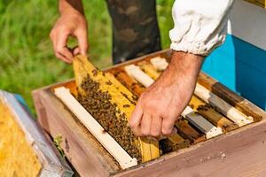 a man puts a frame with bees and honey in a beehive in the courtyard in the summer. Close-up photo