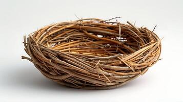 AI generated Birds nest on a white background photo