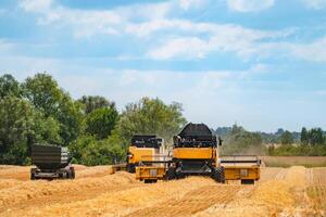 Grain harvesting equipment in the field. Agricultural sector photo