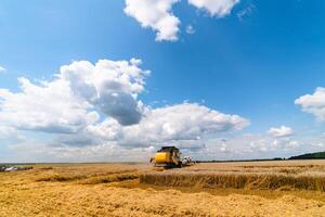 A yellow modern combine harvester working in a wheat field photo