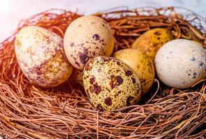 Pascua de Resurrección codorniz huevos en nido. aves huevos en nido en rústico de madera antecedentes foto