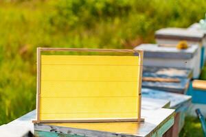 a wooden frame with honeycombs stands on the background of a hive in the yard photo