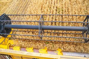 combinar cosecha segador en el dorado campo. agrícola máquina trabajando a campo. foto