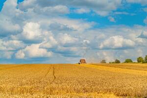 Grain harvesting equipment in the field. Harvest time. Agricultural sector photo