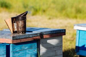 A beekeeping basic equipment - bee smoker - on the top of bee hive on a summer day photo