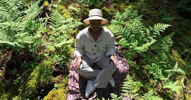 joven africano mujer practicando yoga meditación ejercicio en bosque naturaleza video