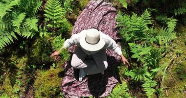 weiblich Person entspannend draußen im friedlich Grün Landschaft im Harmonie video