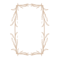 cornice di confine floreale png