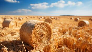 AI generated Rural farm landscape yellow wheat, rolled hay, blue sky generated by AI photo