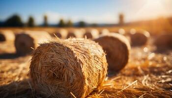 AI generated Hay bales stack in meadow, golden harvest under summer sun generated by AI photo