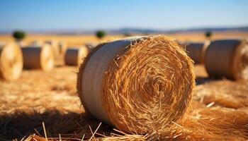 AI generated Rural scene haystacks in meadow, rolled up wheat, harvesting season generated by AI photo