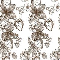 bosquejo de fresa modelo. bayas, flores, ramas y hojas en un blanco antecedentes. vector, lineal ilustración en el estilo de un antiguo grabado. imágenes para embalaje, antecedentes, fondos de pantalla vector