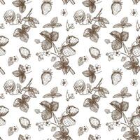 Sketch of strawberry pattern. Berries, flowers, branches and leaves on a white background. Vector, linear illustration in the style of an old engraving. Images for packaging, backgrounds, wallpapers. vector