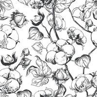 Vector, seamless, black and white pattern of cotton flowers. Botanical illustration using engraving technique. Cotton branches with leaves are drawn with ink. Illustration suitable for fabric, textile vector