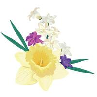 Bouquet of bright spring flowers. Vector colored hyacinths and yellow daffodil on a white background. Primroses in cartoon style are suitable for greeting cards for Mother's Day and Women's Day.