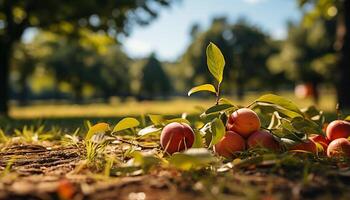 ai generado frescura de otoño maduro fruta, verde hojas, naturaleza belleza generado por ai foto