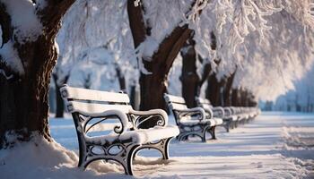 AI generated Tranquil winter landscape snow covered tree, frozen bench, peaceful forest generated by AI photo