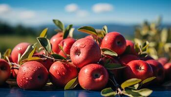 ai generado fresco, maduro manzanas en un rama en un soleado huerta generado por ai foto