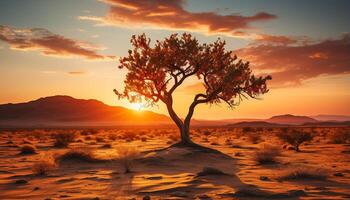 AI generated Sunset over the African savannah, a tranquil scene of beauty generated by AI photo